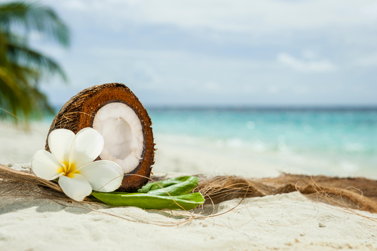 Coconut on the beach