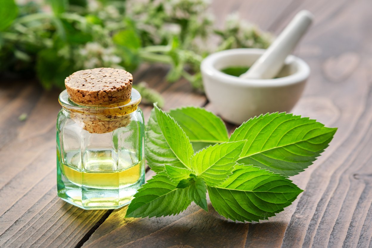 Mint Essential Oil 